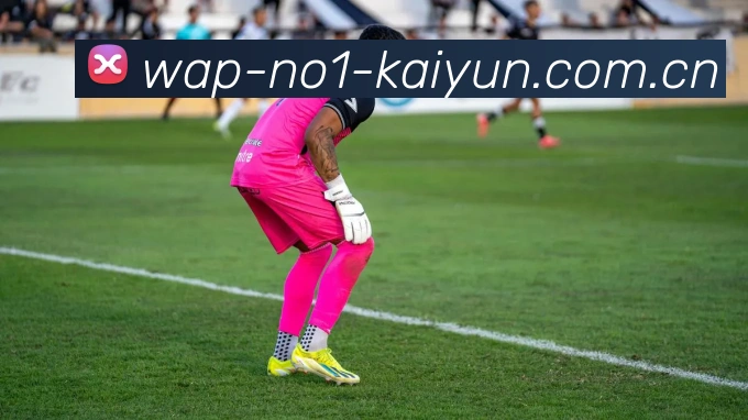 kaiyun官网App下载